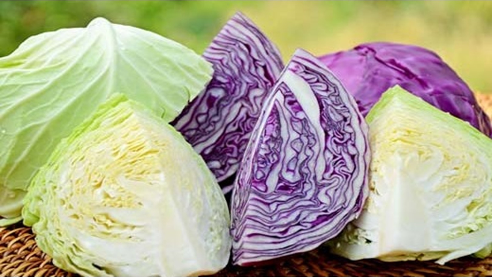 33716-6.Benefits-of-cabbage