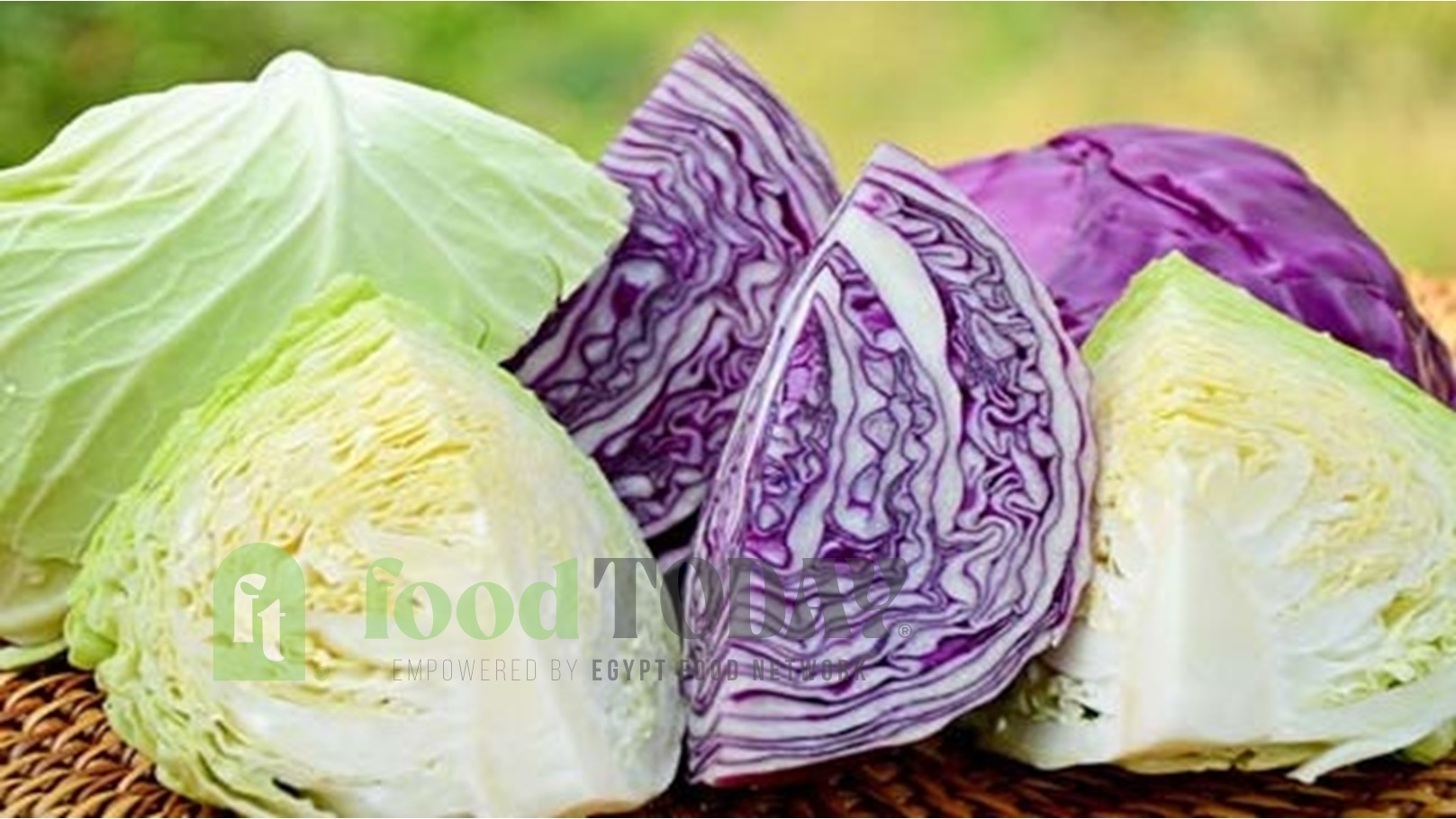 33716-6.Benefits-of-cabbage