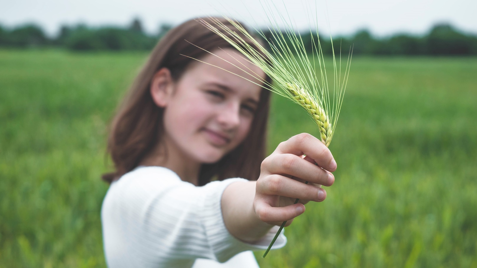 early-wheat-2021-12-09-01-54-53-utc