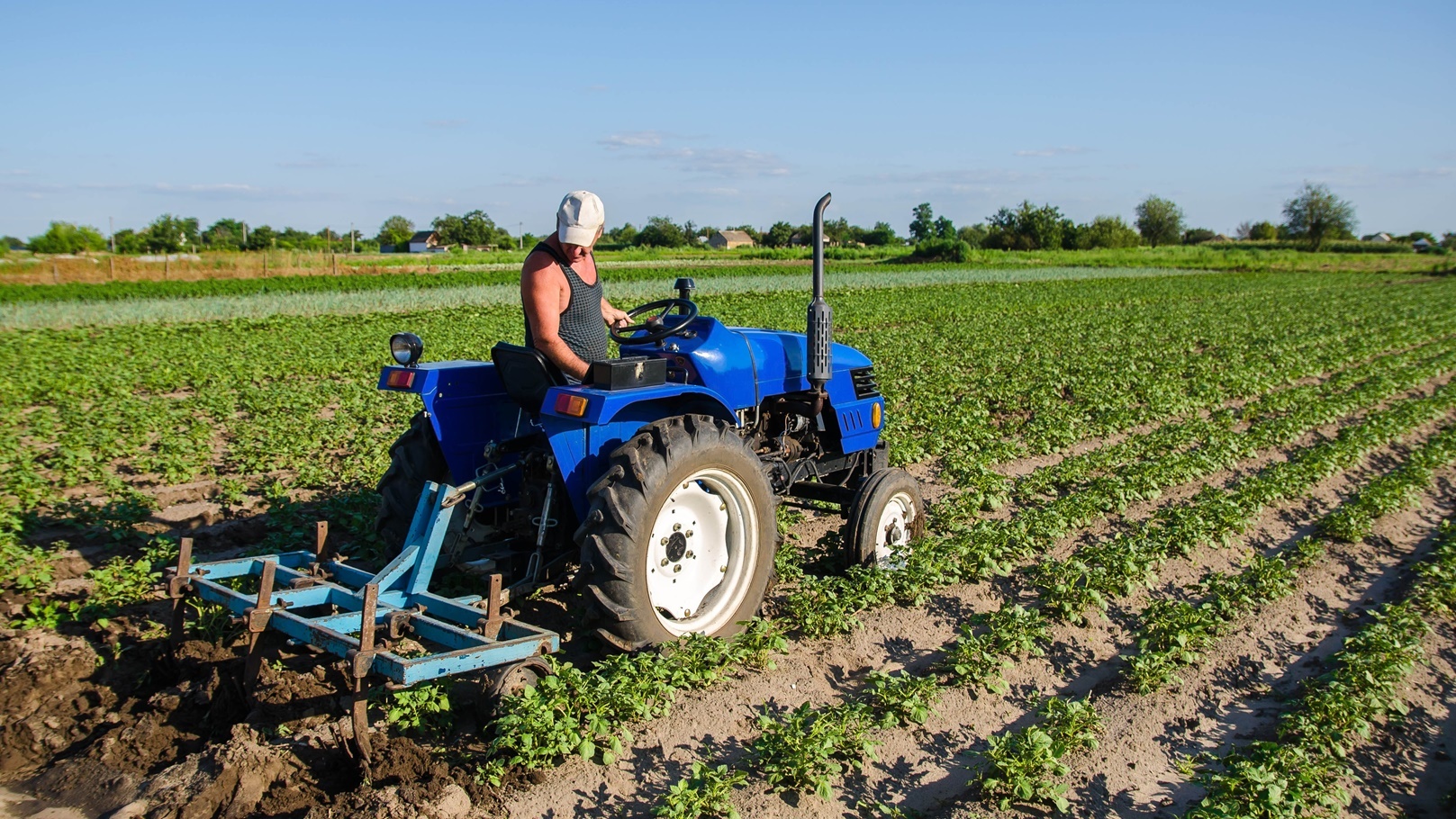 the-farm-is-controlled-by-the-cultivation-process-2021-09-04-04-32-18-utc