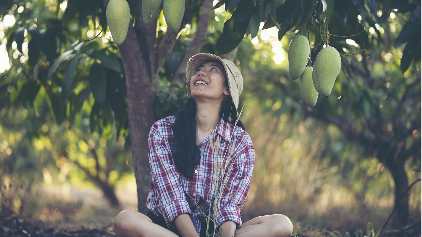 young-women-farmer-mango-farm-2022-02-06-06-00-53-utc