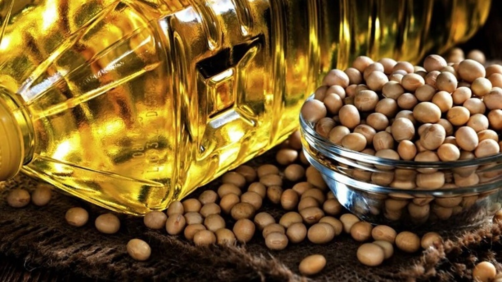 soybeanoil-1140x650-1