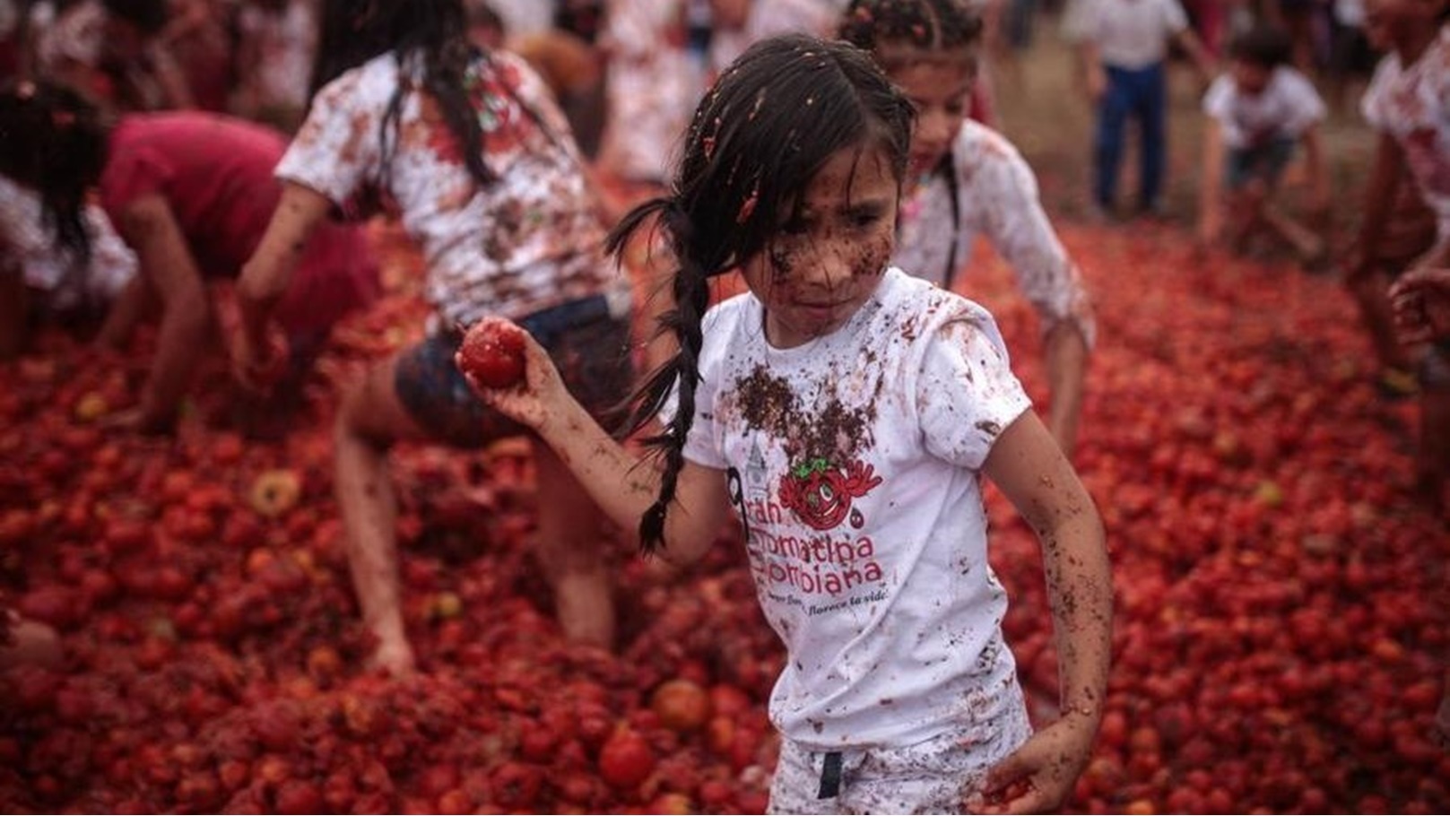 مهرجان الطماطم في أمريكا