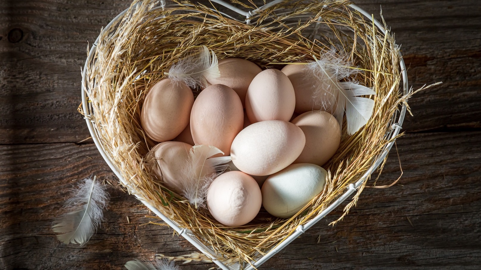 healthy-eggs-from-the-farm-eggs-from-free-range-2022-03-31-18-26-59-utc (1)