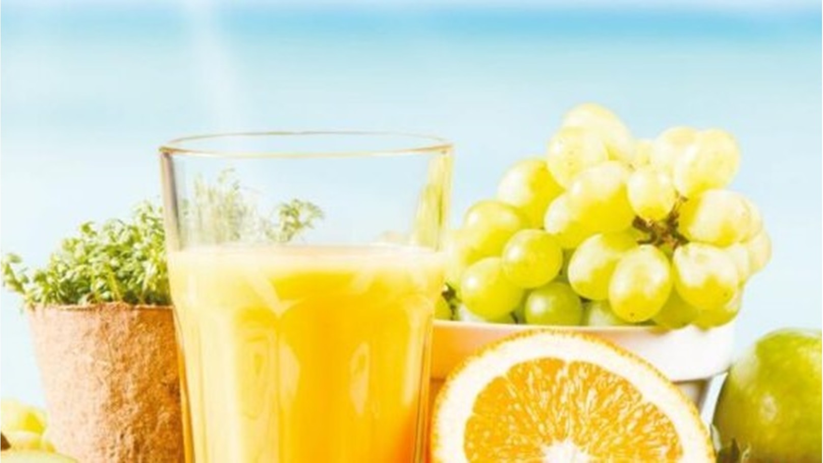 6a1-fruit-juice-1_1510168_20210315104426-875x323